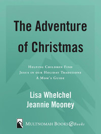Cover image: The Adventure of Christmas 9781590520895
