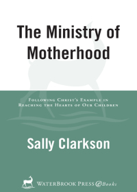 Cover image: The Ministry of Motherhood 9781578565825