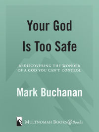 Cover image: Your God is Too Safe 9781576737743