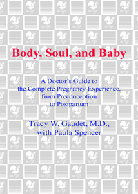 Cover image: Body, Soul, and Baby 9780385335751