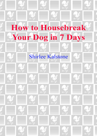 Cover image: How to Housebreak Your Dog in 7 Days (Revised) 9780553382891