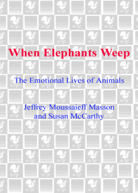 Cover image: When Elephants Weep 9780385314282
