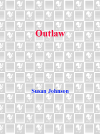 Cover image: Outlaw 1st edition 9780553299557