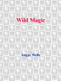 Cover image: Wild Magic 9780553762808