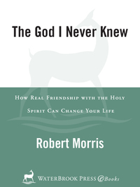 Cover image: The God I Never Knew 9780307729705
