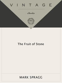 Cover image: The Fruit of Stone 9780307739384