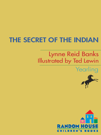 Cover image: The Secret of the Indian 9780375855245