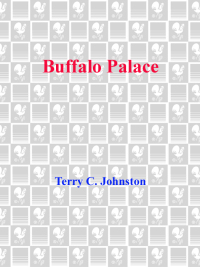 Cover image: Buffalo Palace 9780553572834