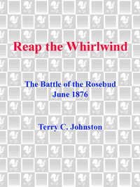 Cover image: Reap the Whirlwind 9780553299748