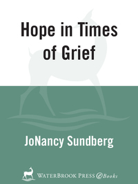 Cover image: Hope in Times of Grief 9780877883944