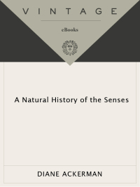 Cover image: A Natural History of the Senses 9780679735663