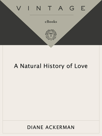 Cover image: A Natural History of Love 9780679761839