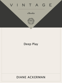 Cover image: Deep Play 9780679771357