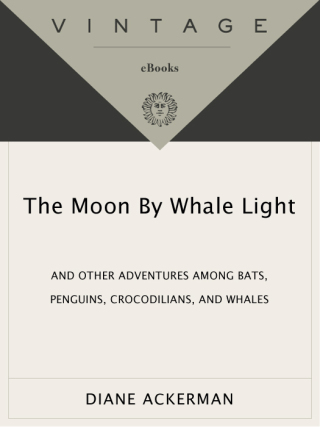 Cover image: Moon By Whale Light 9780679742265