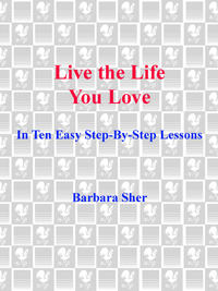 Cover image: Live the Life You Love 9780440507567