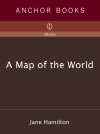 Cover image: A Map of the World 9780385720106