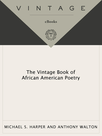 Cover image: The Vintage Book of African American Poetry 9780375703003