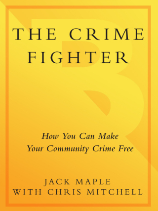 Cover image: The Crime Fighter 9780767905541