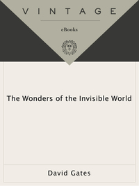Cover image: The Wonders of the Invisible World 9780679756446