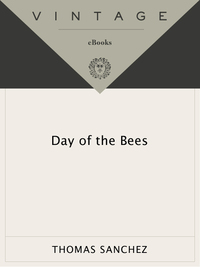 Cover image: Day of the Bees 9780375701771