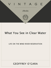 Cover image: What You See in Clear Water 9780679735823