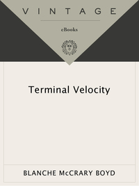 Cover image: Terminal Velocity 9780679750321