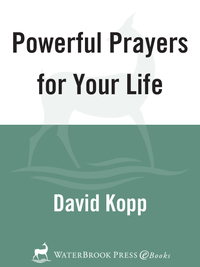 Cover image: Powerful Prayers for Your Life 9781578568529