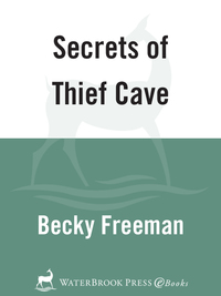 Cover image: Secrets of Thief Cave 9781578563500