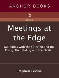 Cover image: Meetings at the Edge 9780385262200