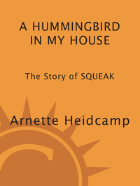 Cover image: A Hummingbird in My House 9780517577295