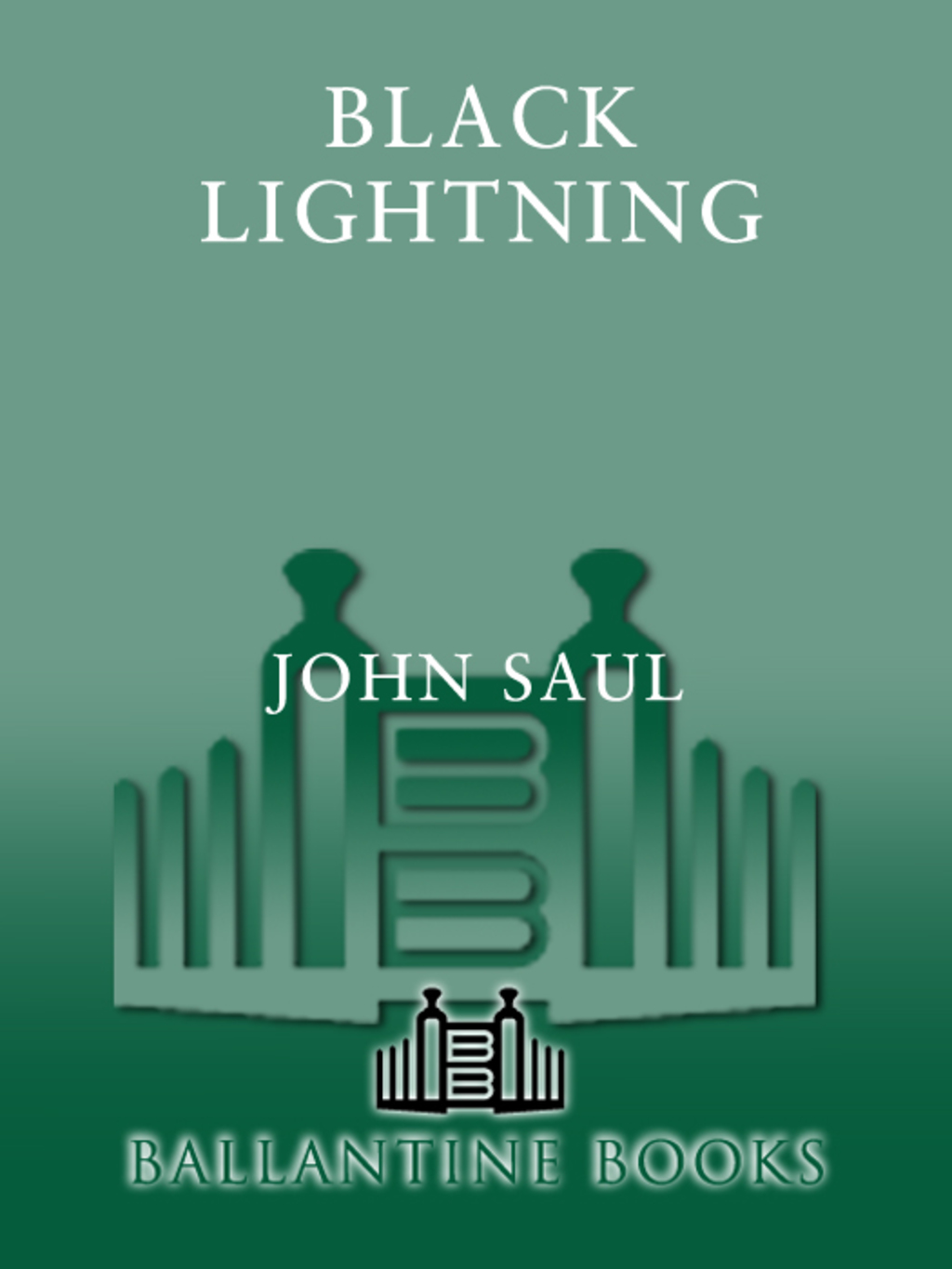 Black Lightning (eBook)