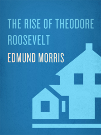 Cover image: The Rise of Theodore Roosevelt 9780375756788