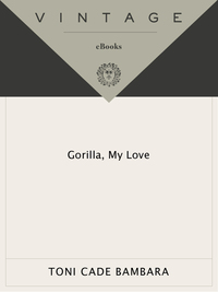 Cover image: Gorilla, My Love 9780679738985