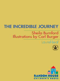 Cover image: The Incredible Journey 9780440226703