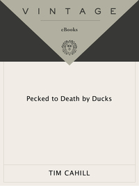 Cover image: Pecked to Death by Ducks 9780679749295