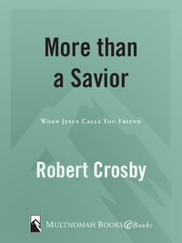 Cover image: More than a Savior 9781590528334