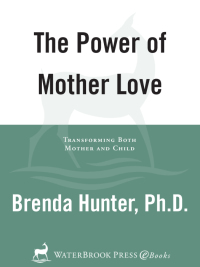 Cover image: The Power of Mother Love 9781578562565