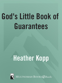 Cover image: God's Little Book of Guarantees 9781590529041