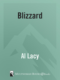 Cover image: Blizzard 9781590527832