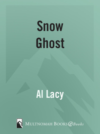Cover image: Snow Ghost 9781590528662