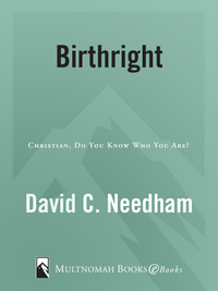 Cover image: Birthright 9781590526668