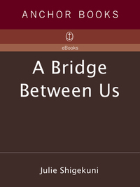 Cover image: A Bridge Between Us 9780385482271