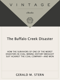 Cover image: The Buffalo Creek Disaster 9780394723433