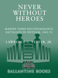 Cover image: Never Without Heroes 9780804108072
