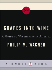 Cover image: Grapes into Wine 9780394731728