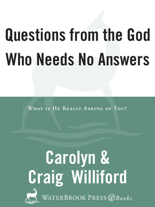 Cover image: Questions from the God Who Needs No Answers 9780877880370