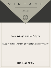 Cover image: Four Wings and a Prayer 9780375701948