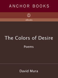 Cover image: The Colors of Desire 9780385474610