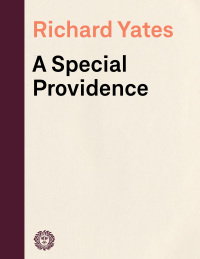 Cover image: A Special Providence 9780307455956