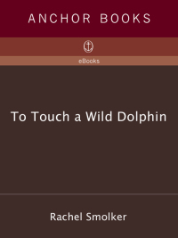 Cover image: To Touch a Wild Dolphin 9780385491778